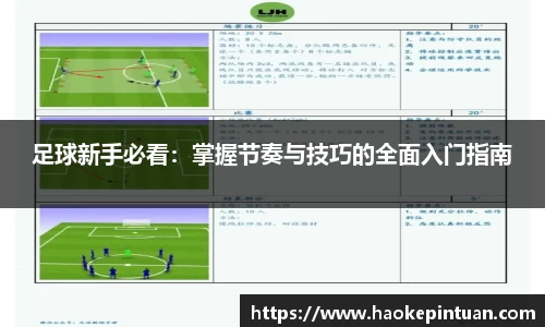 星空综合官方网站